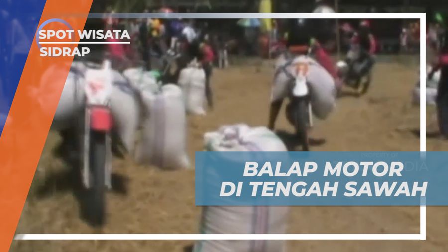 Melihat Keseruan Balap Motor di Tengah Sawah Sambil Menangkut Gabah, Sidrap