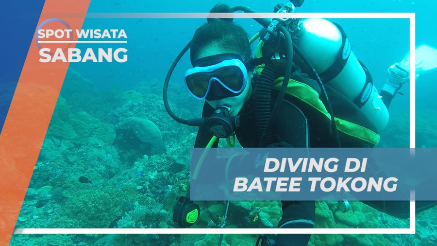 Berpetualang, Mengeksplore Pesona Keindahan Spot Diving Batee Tokong, Sabang