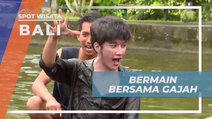 Bermain Permainan Seru Bersama Gajah, Bali