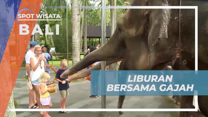 Singgah Untuk Bertemu Si Belalai Panjang di Mason Elephant Park Bali