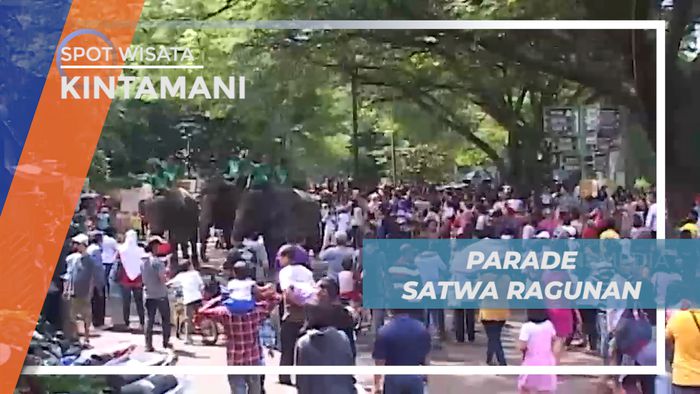 Melihat Meriahnya Parade Satwa Penghuni Kebun Binatang Ragunan, Jakarta