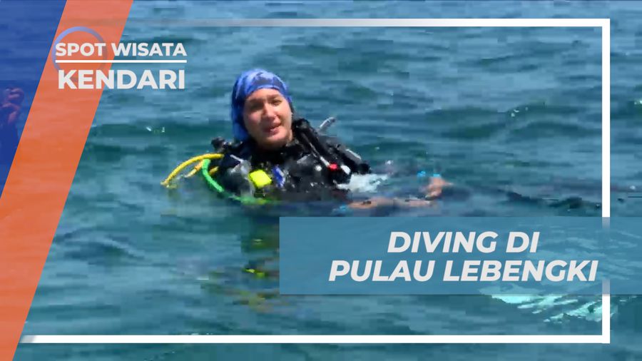 Mengeksplor Pesona Bawah Laut Pulau Labengki yang Bikin Terpikat, Kendari