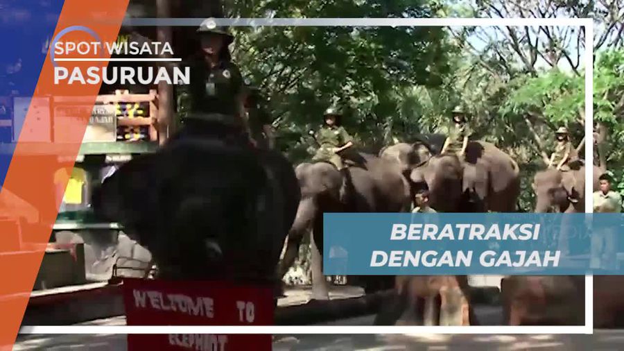 Berinteraksi Dengan Gajah di Taman Safari Prigen Pasuruan