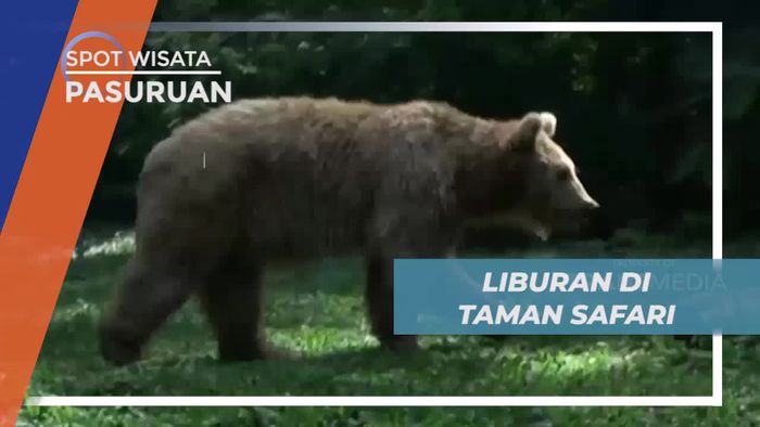Vacation Seru Bersama Para Satwa di Taman Safari Pasuruan 