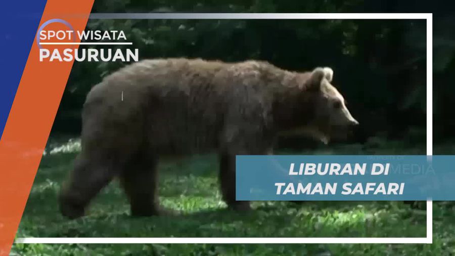 Vacation Seru Bersama Para Satwa di Taman Safari Pasuruan 