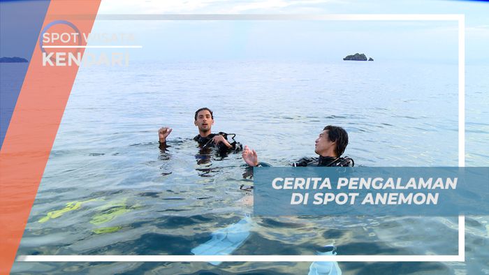 Pengalaman Seru, Menjelajahi Surga Bawah Laut Pulau Labengki, Kendari