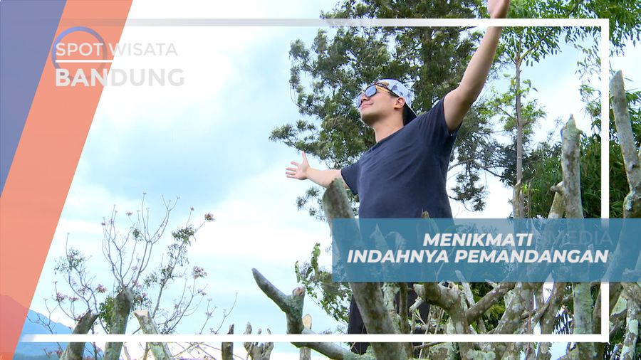 Menikmati Nuansa Hijau nan Asri Perkebunan Teh Cikalong Bandung