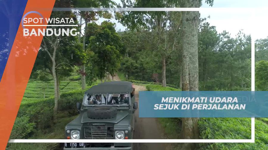 Menikmati Udara Sejuk Perkebunan Teh Cikalong Bandung