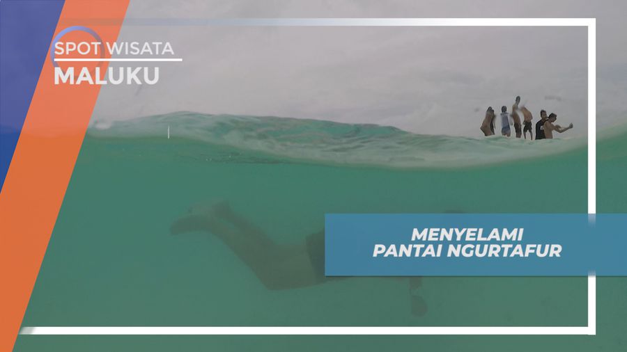 Berenang Seru Menikmati Kejernihan Air Pantai Ngurtafur, Maluku