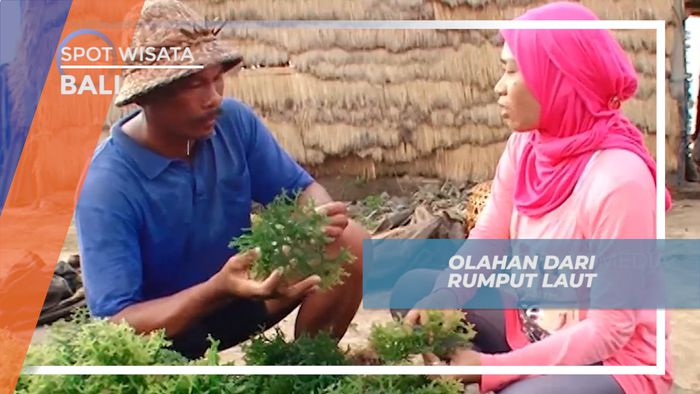 Mengolah Rumput Laut Menjadi Beragam Kuliner yang Diminati, Bali