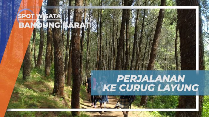 Membelah Hutan Pinus, Menyusuri Jalan Setapak Menuju Curug Layung, Bandung Barat