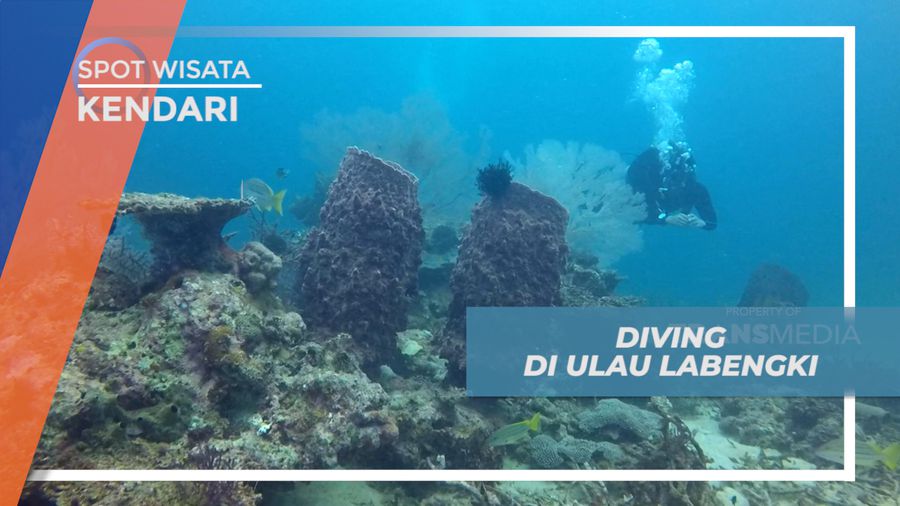 Menjelajahi Sejuta Keindahan Bawah Laut Pulau labengki, Kendari