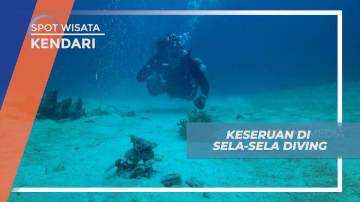 Menikmati Keseruan di Bawah Laut Pulau Labengki, Kendari