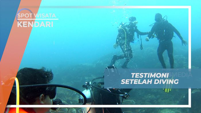 Pengalaman Seru, Sensasi Pertama Kali Menyelam di Pulau Labengki, Kendari