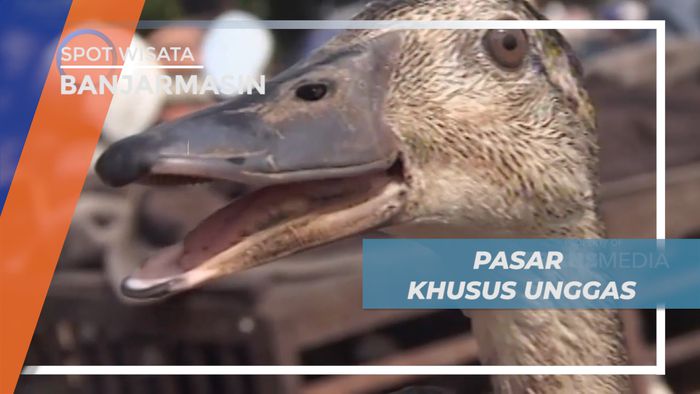 Mengunjungi Ramainya Pasar Khusus Unggas di Kabupaten Banjar, Banjarmasin