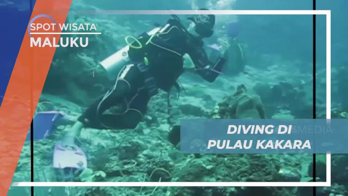 Perjalanan Menuju Spot Diving Indah Pulau Kakara Maluku Utara