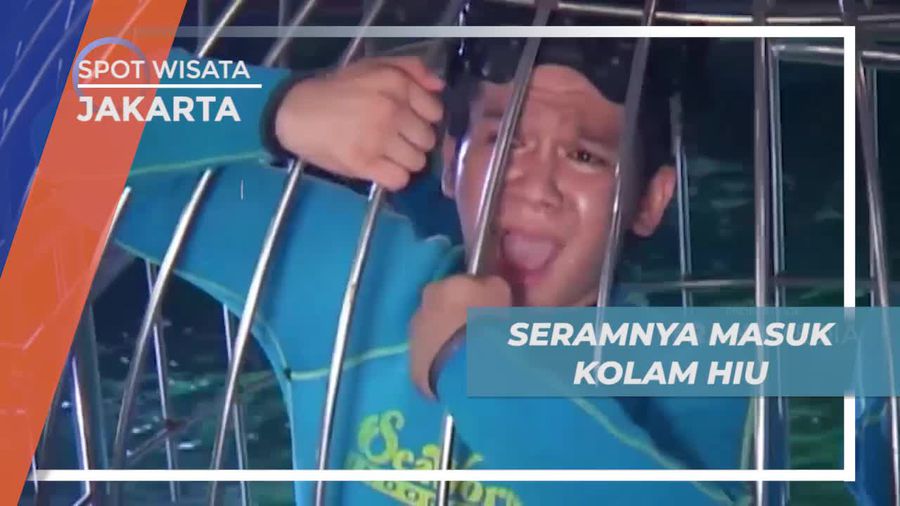 Sensasi Menegangkan Masuk ke Dalam Kolam Hiu Jakarta