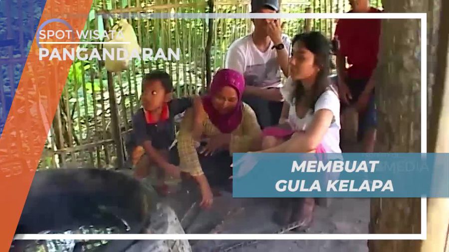 Membuat Gula Kelapa Dengan Cara Tradisional di Desa Cimerah Pangandaran 