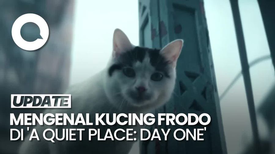 Frodo, Kucing Pendiam di A Quiet Place: Day One yang Curi Perhatian