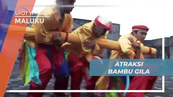 Melihat Liak-liuk Atraksi Bambu Gila di Maluku Utara
