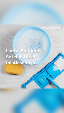 Lantai Bau Amis Setelah Dipel? Ini Alasannya