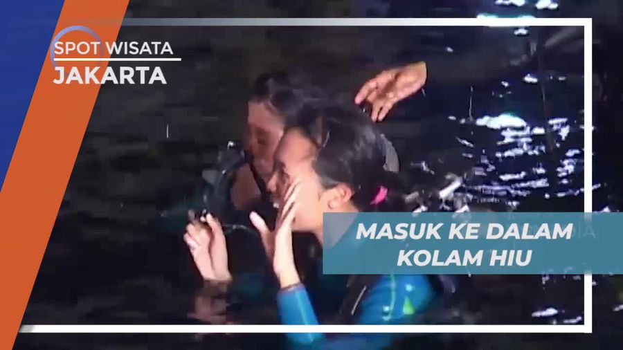 Memberanikan Diri Masuk ke Dalam Kolam Hiu di Jakarta