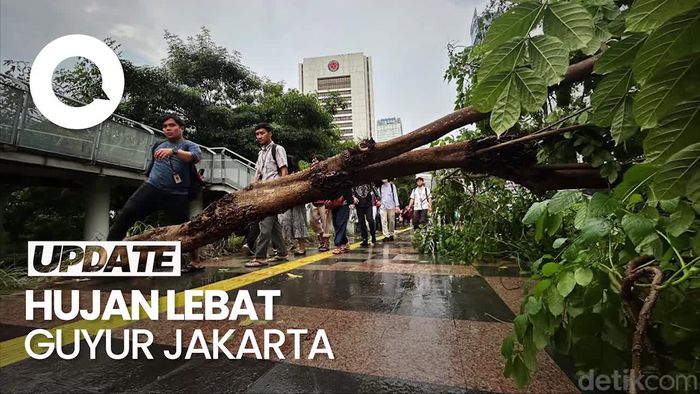 Penampakan Pohon Tumbang-Banjir di Jakarta Seusai Hujan Lebat Mengguyur