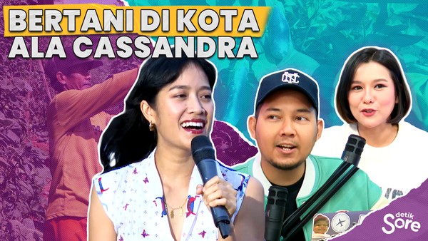 Bertani di Kota ala Cassandra