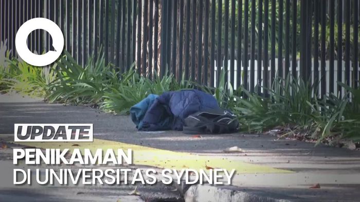 Penikaman di Universitas Sydney, Pelaku Remaja 14 Tahun