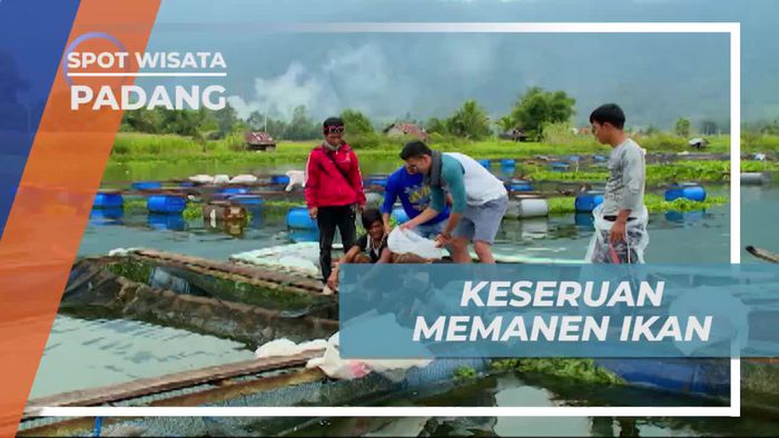 Seru-seruan Ikut Memanen Ikan Bersama Nelayan di Danau Maninjau Padang