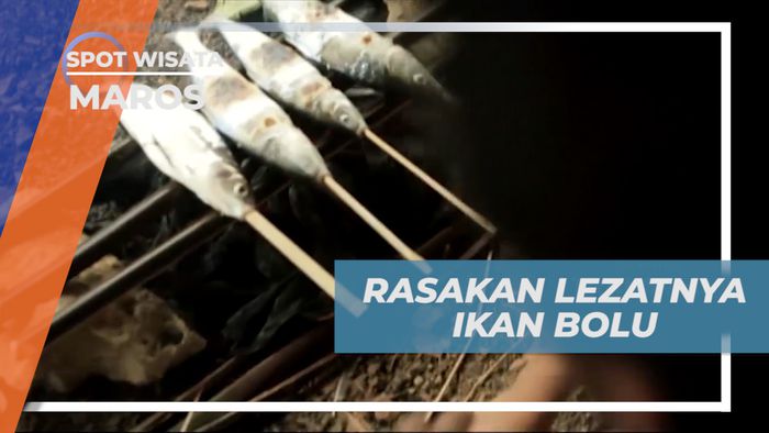 Ikan Bolu, Mencicipi Kelezatan Ikan Bandeng Bakar Bercita Rasa Khas Maros