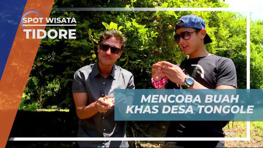 Mencicipi Pala, Buah Khas Desa Tongole Ternate