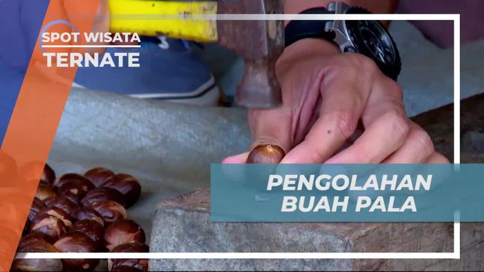 Melihat Cara Pengolahan Buah Pala di Desa Tongole Ternate