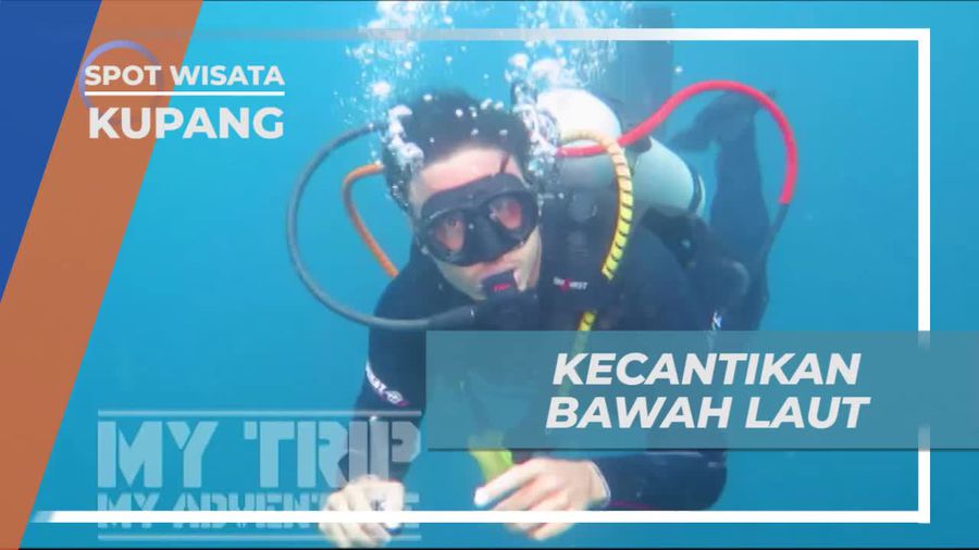 Menikmati Keindahan Bawah Laut Kupang