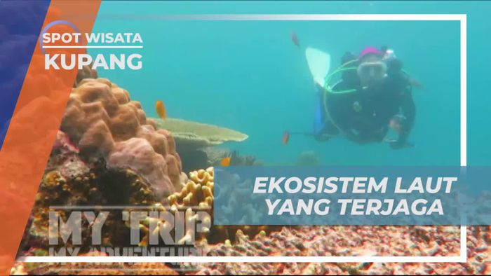Menjaga Ekosistem Laut Dengan Terumbu Karang Buatan, Kupang