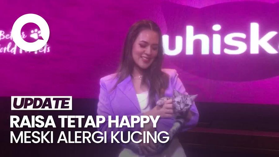 Alergi, Raisa Tak Kapok Pelihara Kucing