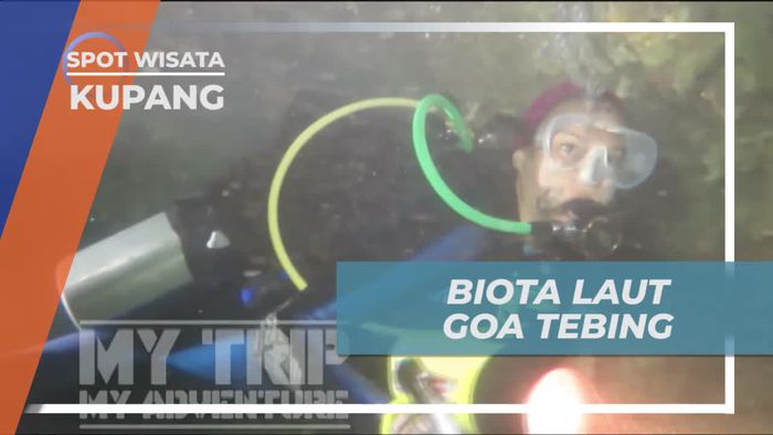 Melihat Aneka Biota Laut Cantik di Goa Tebinf Kupang 