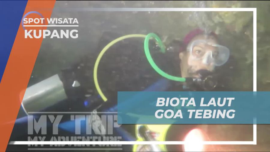 Melihat Aneka Biota Laut Cantik di Goa Tebinf Kupang 