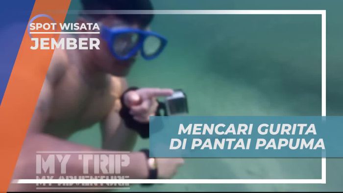 Berburu Gurita Bersama Nelayan di Pantai Pupuma Jember