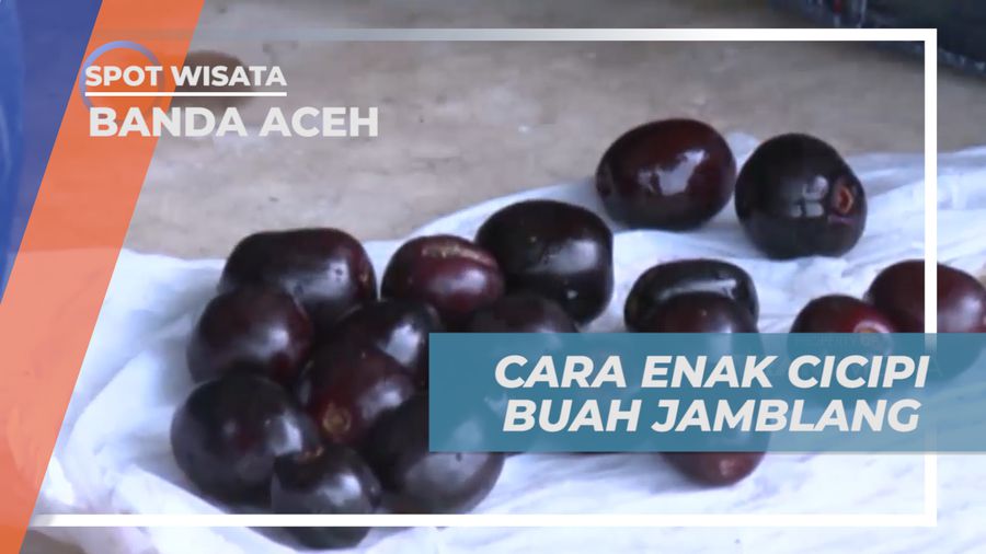 Menikmati Buah Jamblang dengan Cara Dirujak Khas Banda Aceh