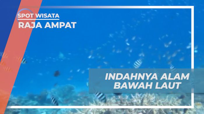 Menikmati Pesona Keindahan Alam Bawah Laut Raja Ampat