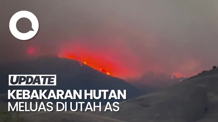 Penampakan Api Hanguskan Hampir 11 Ribu Hektare Hutan di Utah AS 