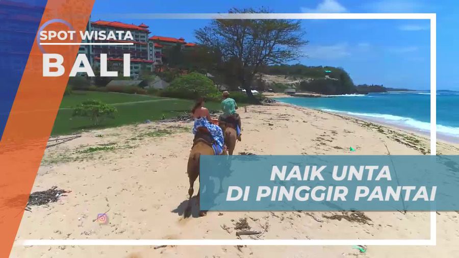 Menunggangi Unta Menyusuri Keindahan Panorama Pantai Bali
