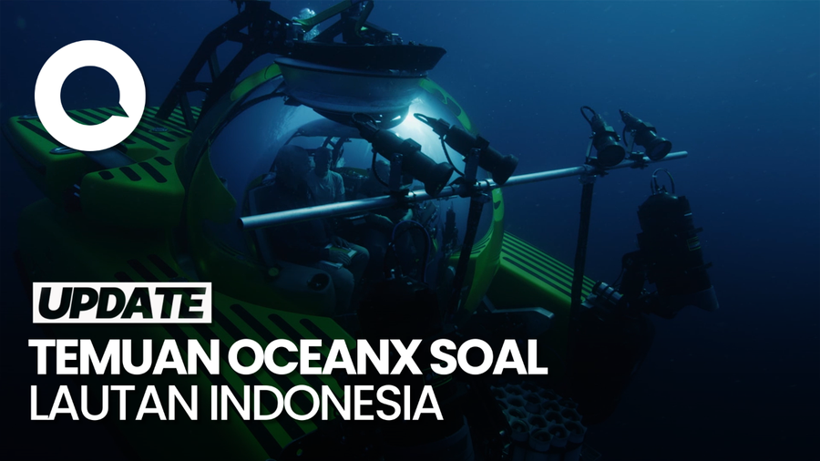 OceanX Sebut Laut Indonesia Dalam Keadaan Kritis