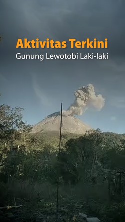 Gunung Lewotobi Laki-laki Erupsi Pagi Ini, Warga Diminta Menjauh