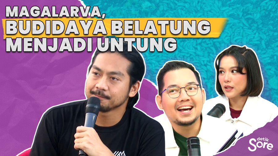 Magalarva, Budidaya Belatung Menjadi Untung 