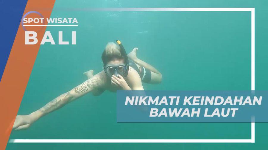 Snorkeling Menikmati Keindahan Bawah Laut Bingin Beach Bali
