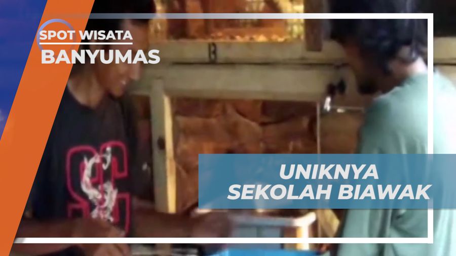 Sekolah Biawak, Ratusan Biawak Disekolahkan agar Menjadi Penurut dan Pintar, Banyumas