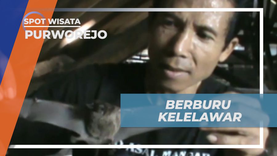 Bertaruh Keselematan, Berburu Kelelawar di Rumah Kosong, Purworejo