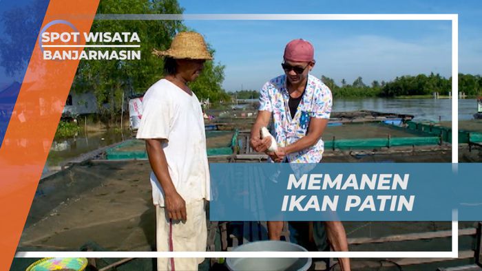 Menikmati Keseruan Memanen Ikan Patin di Kolam Keramba, Banjarmasin